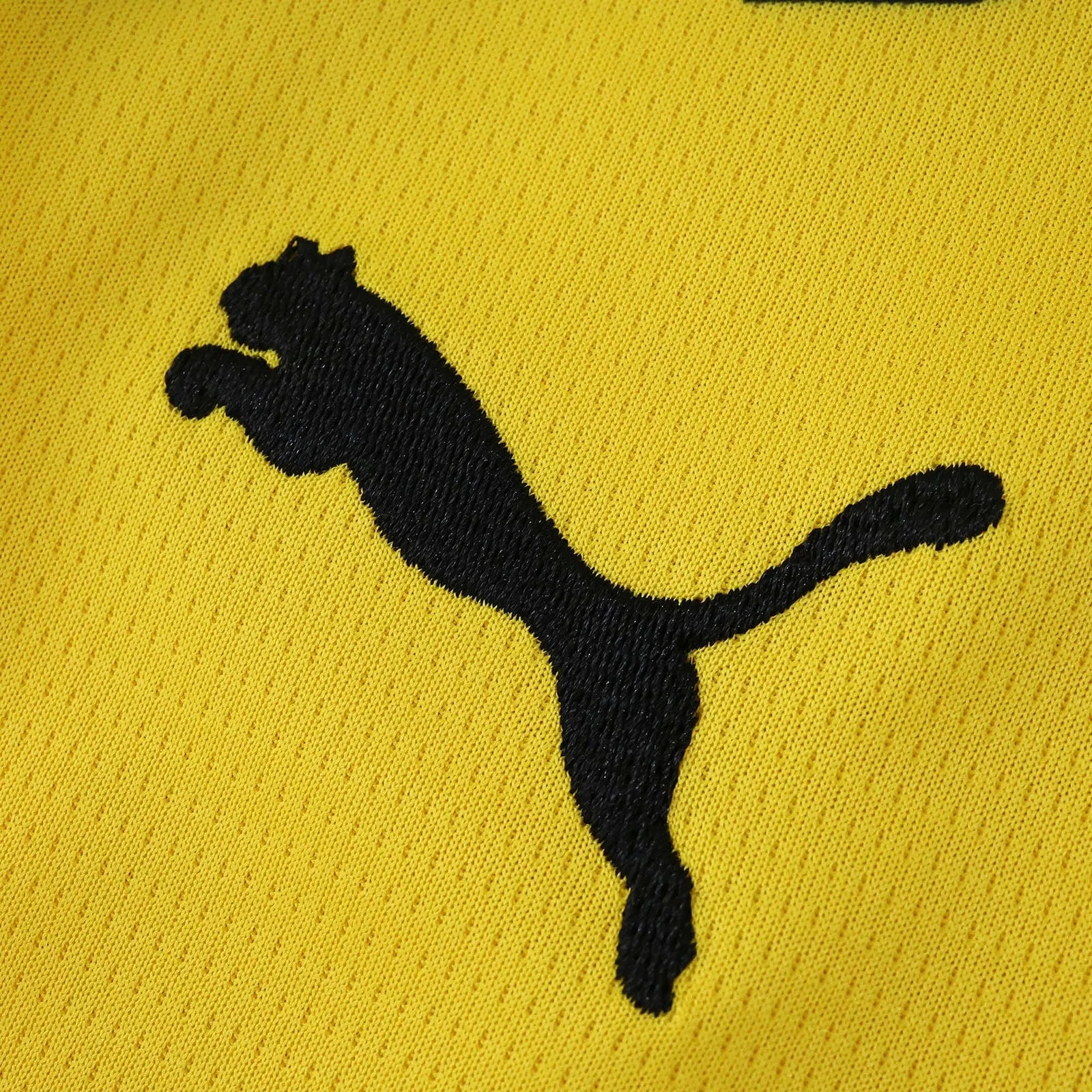 Camiseta Borussia Dortmund 2025/26 - Local — vista 5