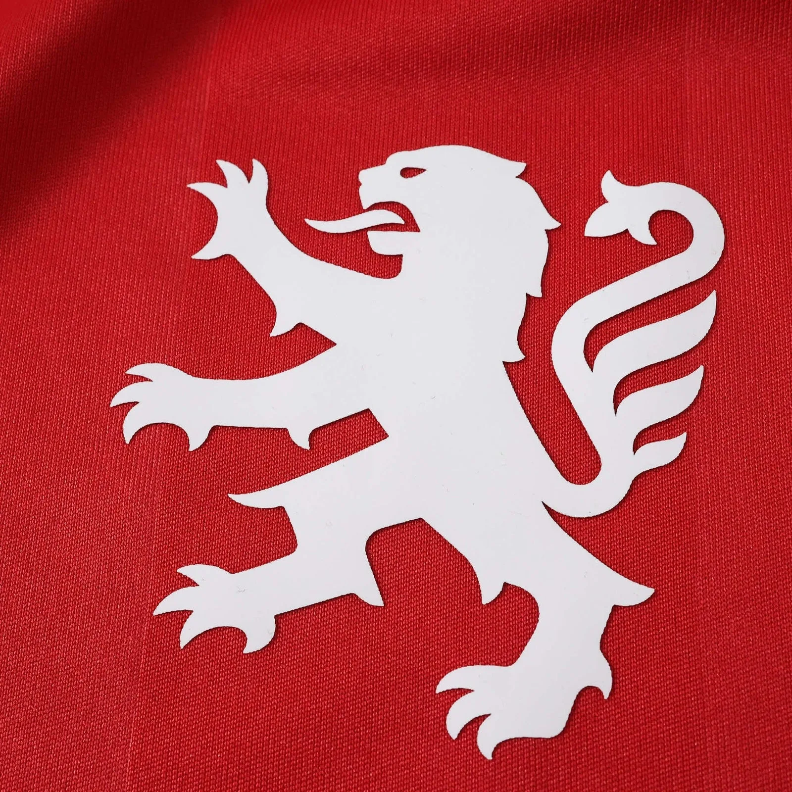 Camiseta Olympique Lyon 2026/27 - Visitante — vista 4